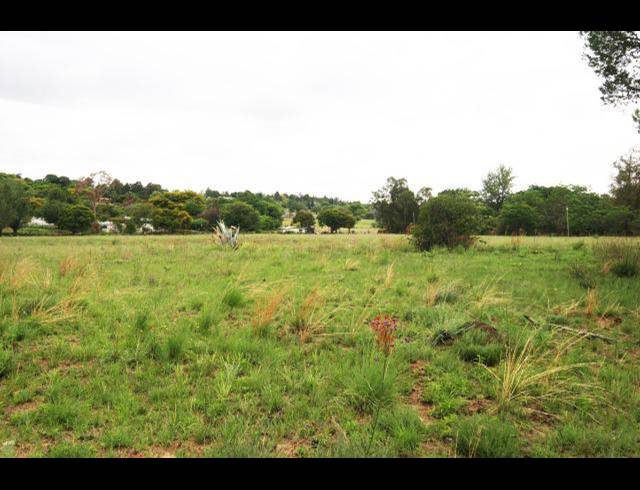 FARM FOR SALE IN KYALAMI